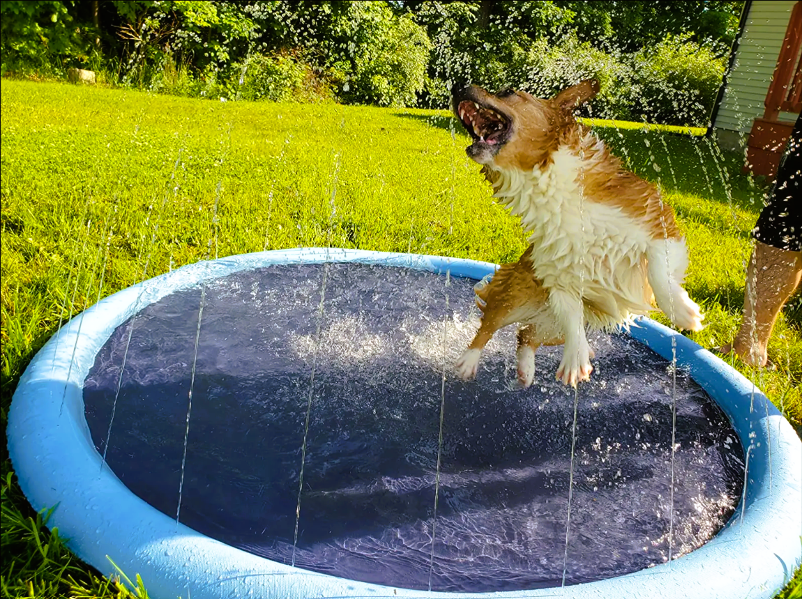 Refreshing Dog Sprinkler Pad